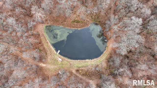 25065 Rock Springs Hollow Rd, Thebes, IL 62990 - aerial view with a water view