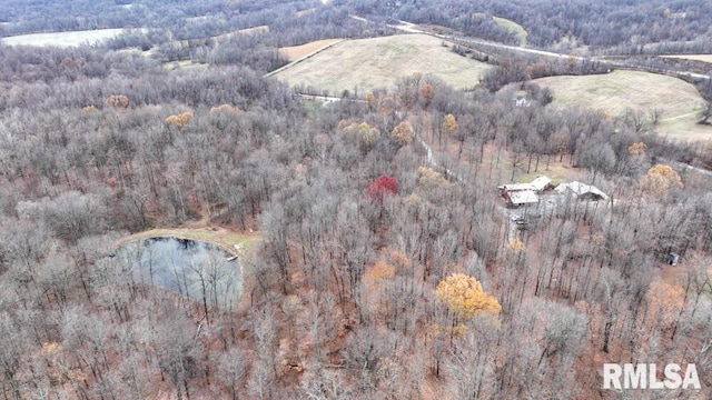 25065 Rock Springs Hollow Rd, Thebes, IL 62990 - aerial view with a view of trees and a water view