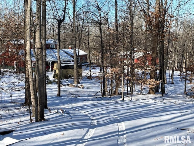 25065 Rock Springs Hollow Rd, Thebes, IL 62990 - view of yard covered in snow