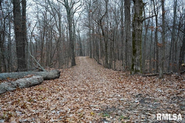 25065 Rock Springs Hollow Rd, Thebes, IL 62990 - view of street featuring a forest view