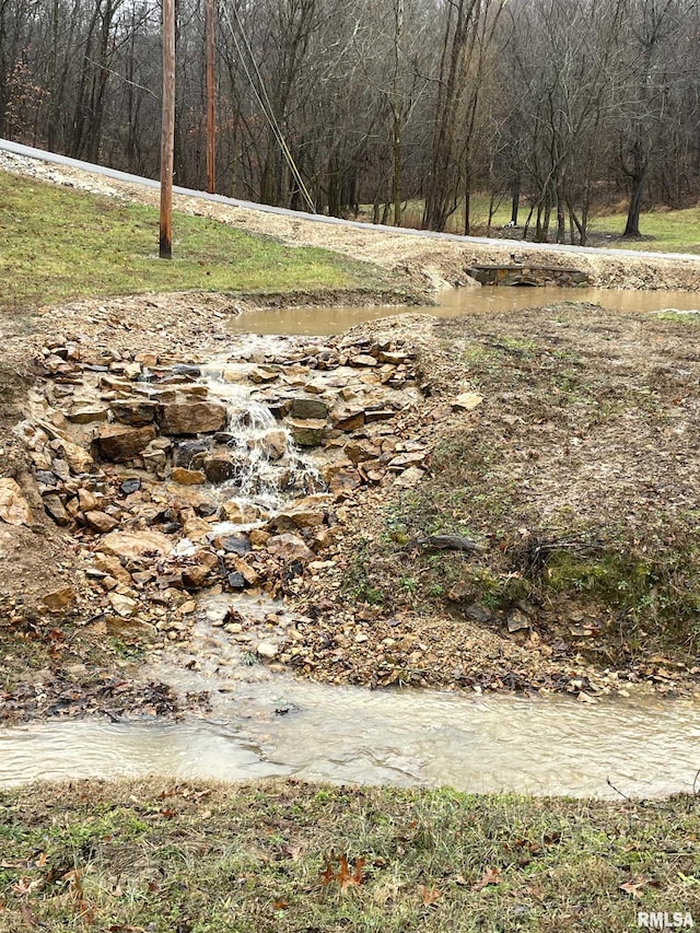 25065 Rock Springs Hollow Rd, Thebes, IL 62990 - view of yard featuring a view of trees