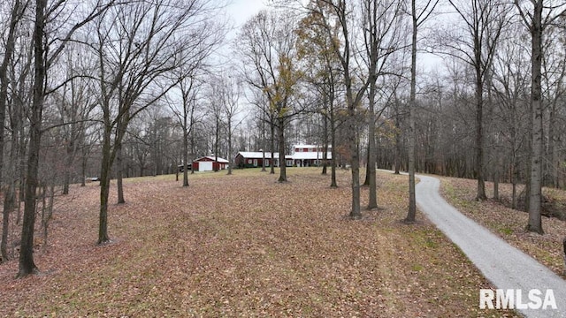 25065 Rock Springs Hollow Rd, Thebes, IL 62990 - view of yard