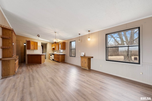 unfurnished living room featuring crown molding, light hardwood / wood-style floors, and a textured ceiling