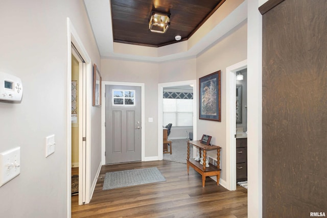 entrance foyer with hardwood / wood-style flooring and a raised ceiling