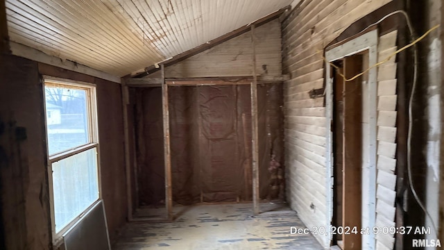 miscellaneous room with lofted ceiling