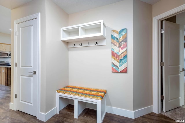 mudroom featuring dark wood-type flooring