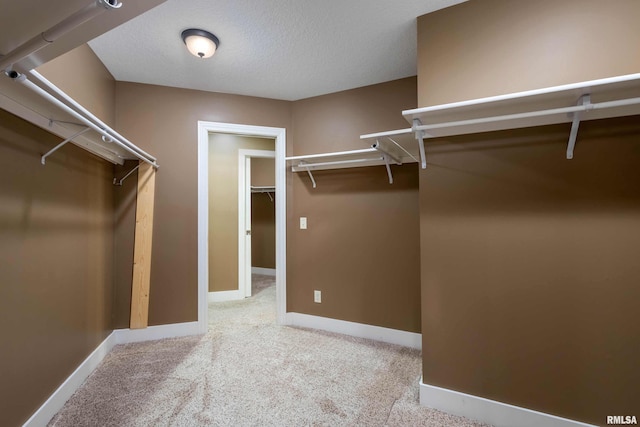 walk in closet featuring light colored carpet