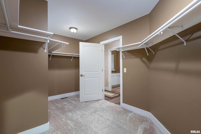 walk in closet featuring light carpet