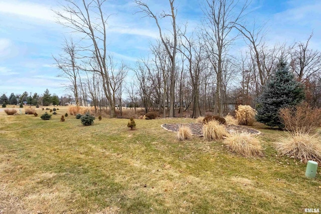 view of yard with a rural view