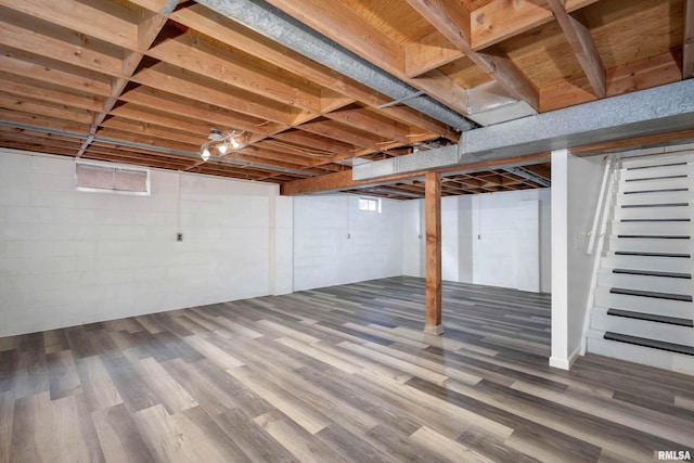 basement featuring hardwood / wood-style floors