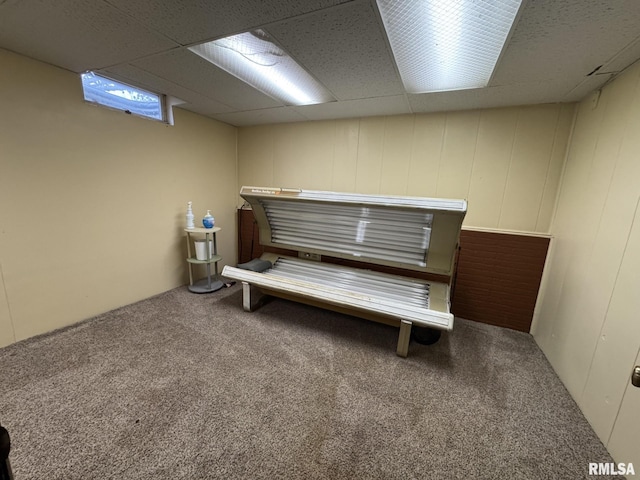 miscellaneous room with carpet and a drop ceiling