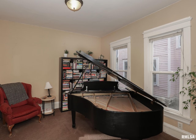 living area with dark carpet