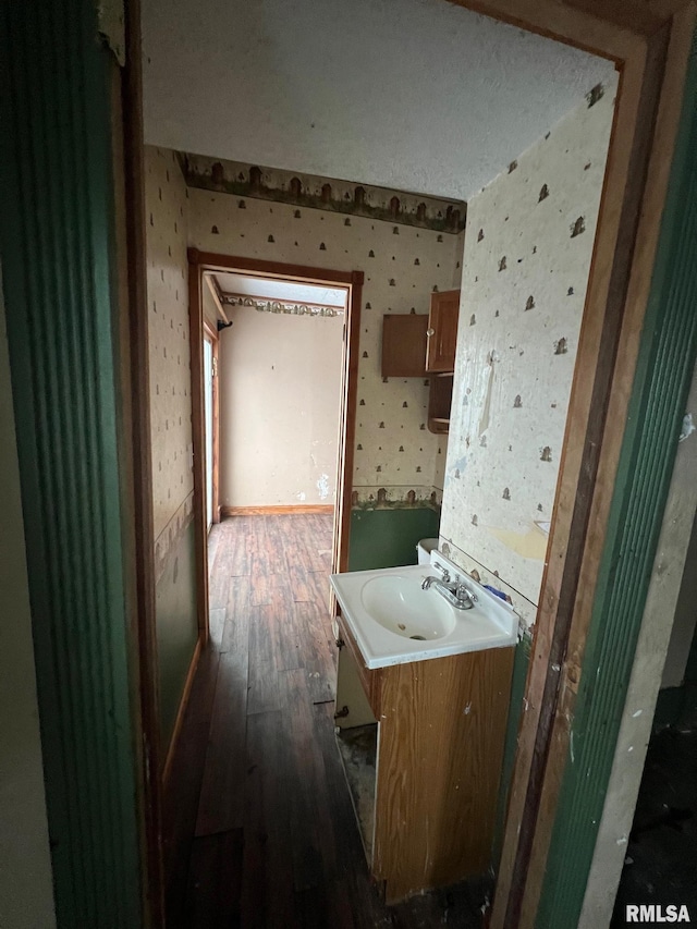 bathroom with vanity and hardwood / wood-style flooring