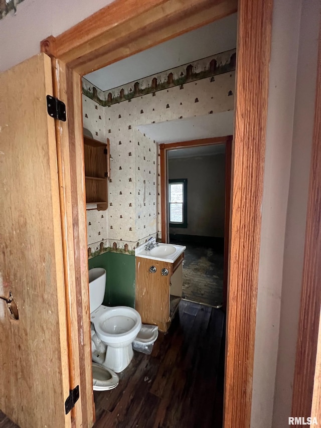 bathroom with vanity, hardwood / wood-style flooring, and toilet