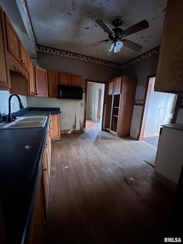 kitchen featuring ceiling fan, sink, and light hardwood / wood-style floors