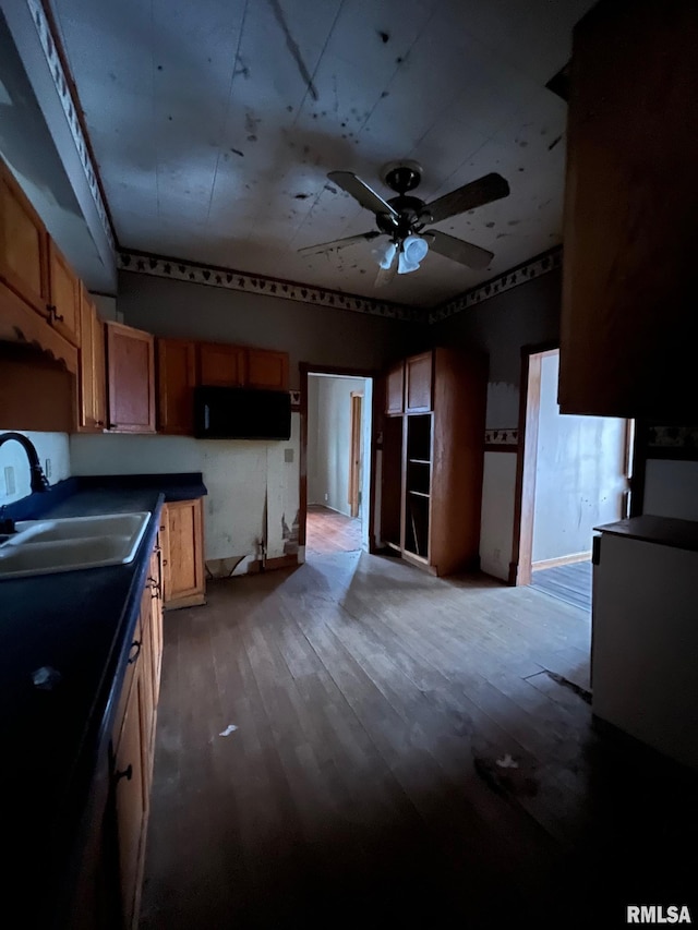 kitchen featuring sink, hardwood / wood-style floors, and ceiling fan