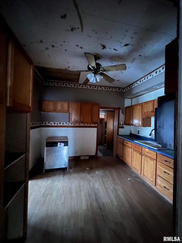 kitchen featuring sink, dark hardwood / wood-style floors, and ceiling fan