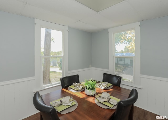 dining room with a healthy amount of sunlight, dark hardwood / wood-style flooring, and a drop ceiling