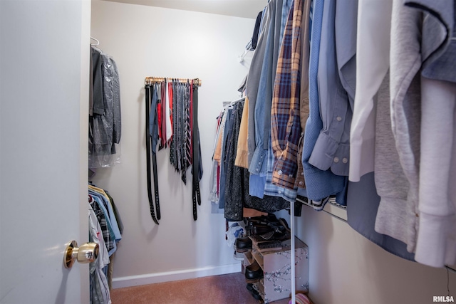 view of walk in closet