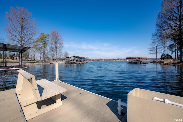 dock area with a water view