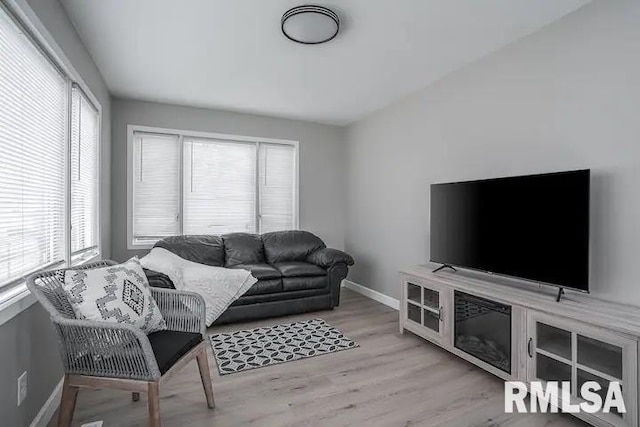 living room with light wood-type flooring