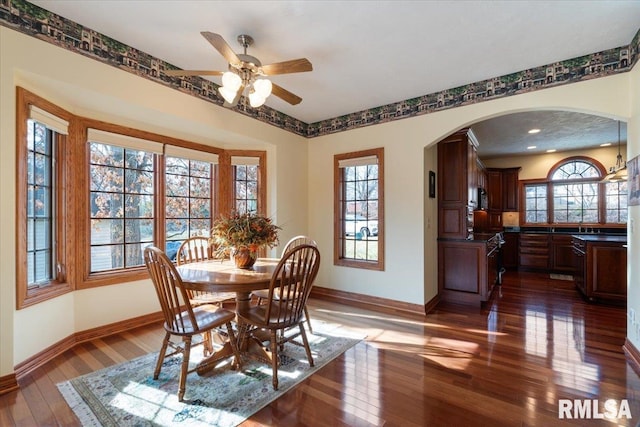 dining room with plenty of natural light and dark hardwood / wood-style floors