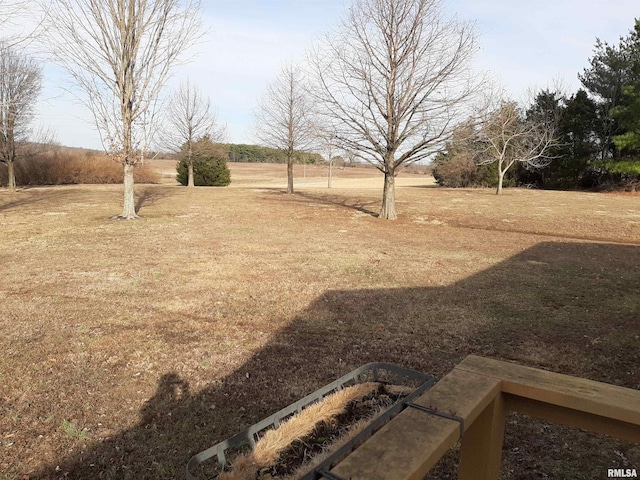 view of yard with a rural view