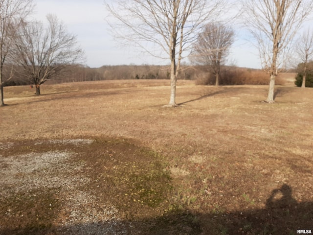 view of yard with a rural view