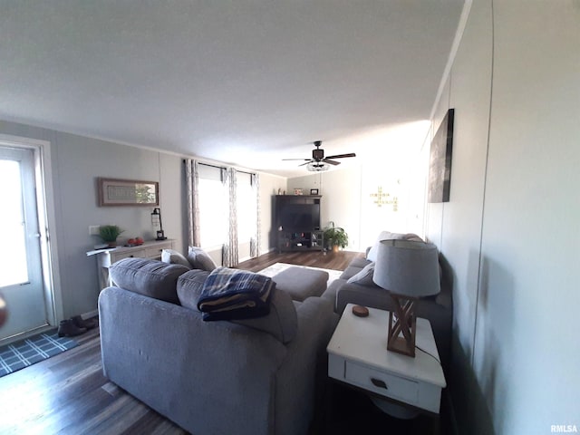 living room featuring ceiling fan and dark hardwood / wood-style flooring