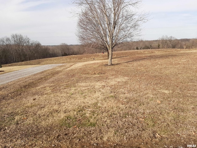 view of yard with a rural view