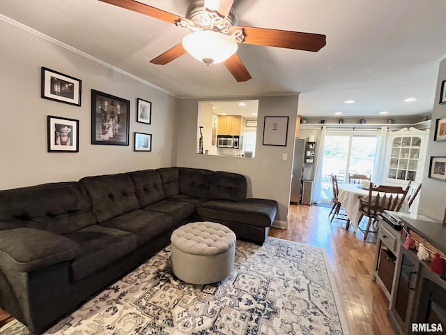 living room featuring ceiling fan, ornamental molding, and light hardwood / wood-style flooring