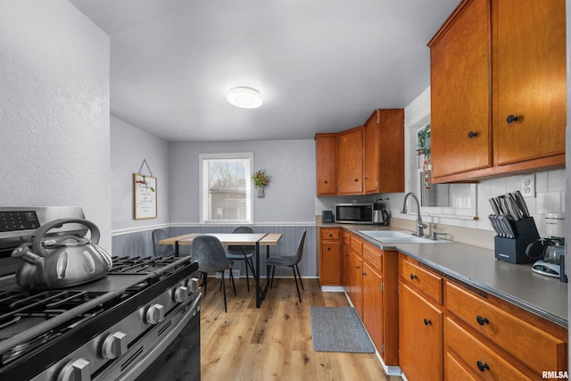 kitchen featuring tasteful backsplash, appliances with stainless steel finishes, sink, and light hardwood / wood-style floors