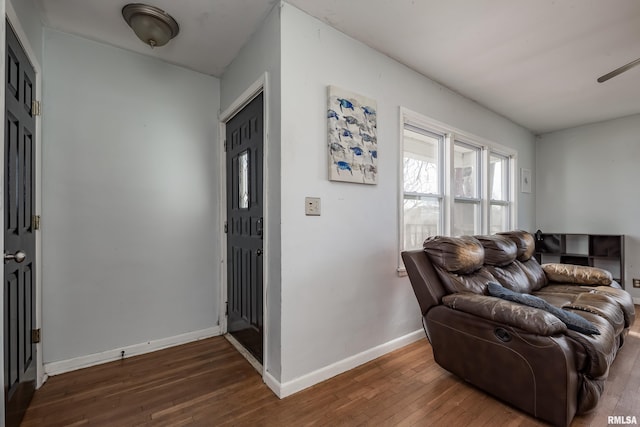 entrance foyer featuring dark wood-type flooring