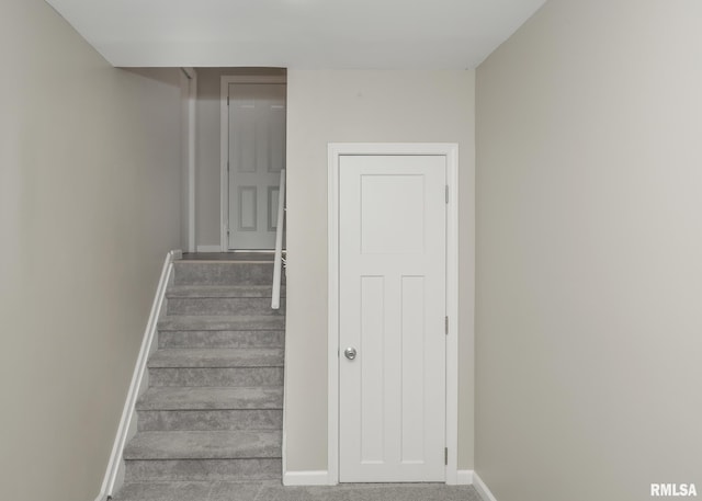 staircase featuring carpet