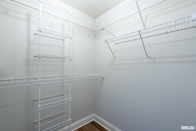 walk in closet featuring wood-type flooring