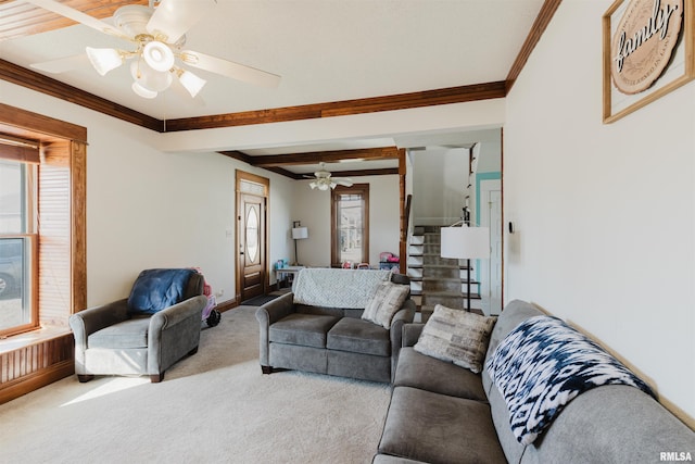 living room featuring carpet floors, ornamental molding, and ceiling fan