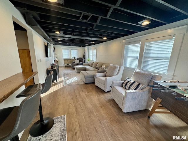 living room featuring hardwood / wood-style floors