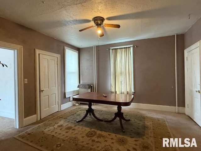 miscellaneous room with ceiling fan, light carpet, and a textured ceiling