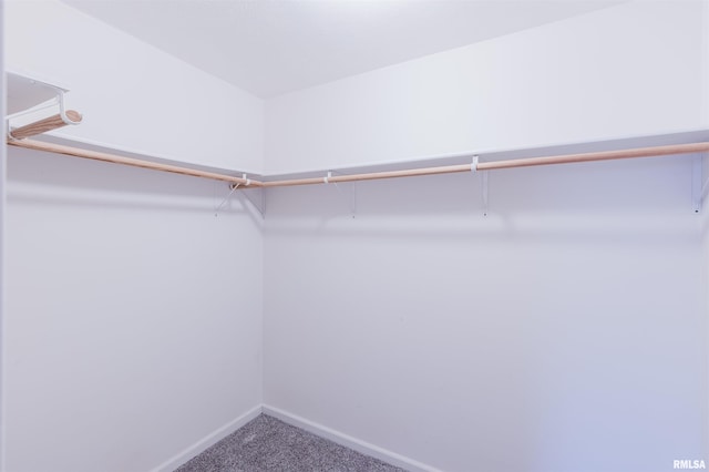 walk in closet with carpet flooring