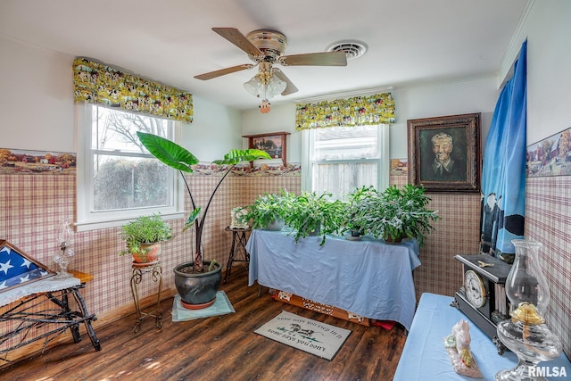 misc room featuring ceiling fan, a healthy amount of sunlight, and dark hardwood / wood-style floors