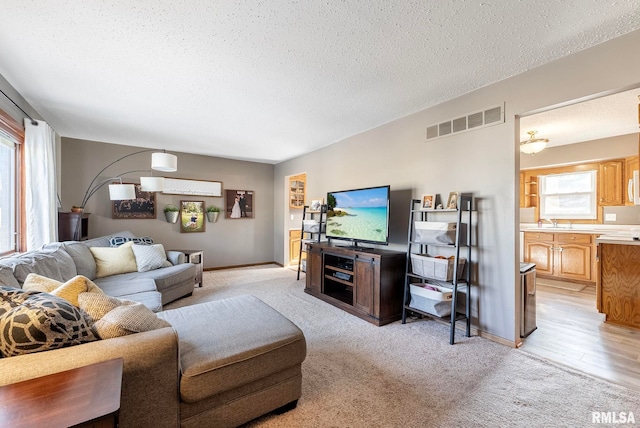 living room featuring sink, light colored carpet, and a textured ceiling