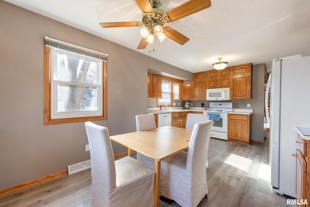 dining space with ceiling fan, sink, a textured ceiling, and light wood-type flooring