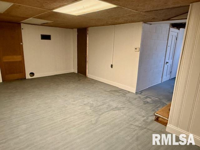 basement featuring wood-type flooring