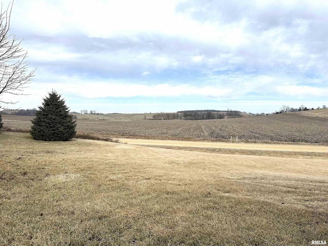 view of yard with a rural view