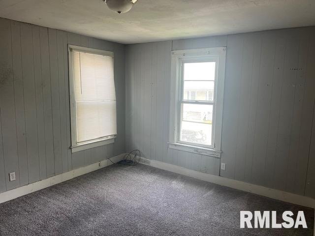 1015 Arlington Ct, Davenport, IA 52803 - empty room featuring wooden walls, baseboards, and carpet flooring