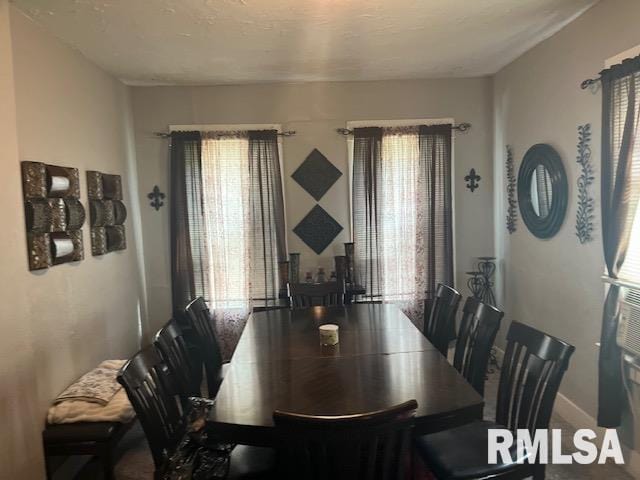 dining area featuring plenty of natural light