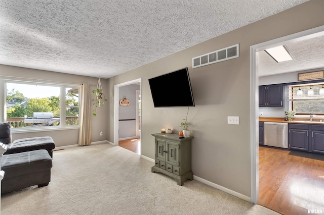 carpeted living room featuring sink and a textured ceiling