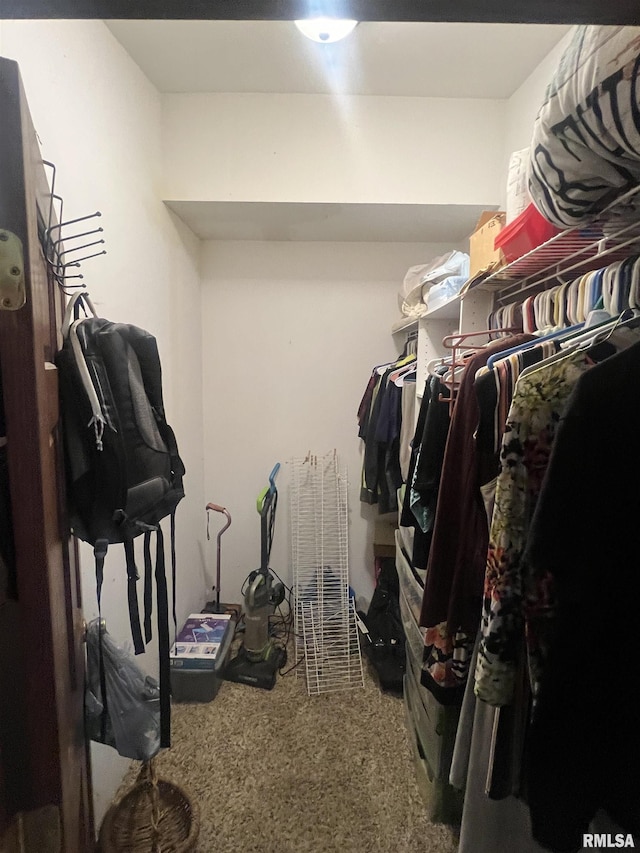 spacious closet featuring carpet flooring