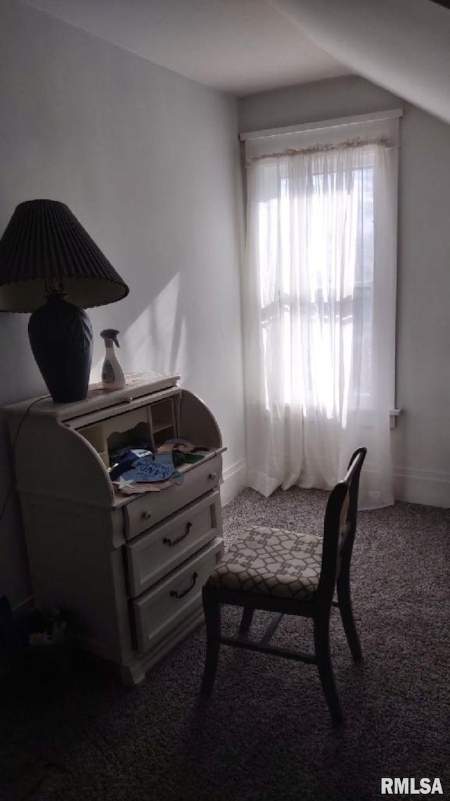 sitting room with carpet flooring