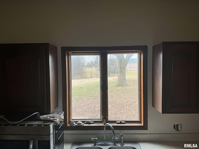 details featuring sink and dark brown cabinets